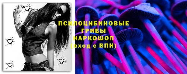 молекула духа Саяногорск
