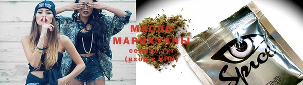 молекула духа Саяногорск